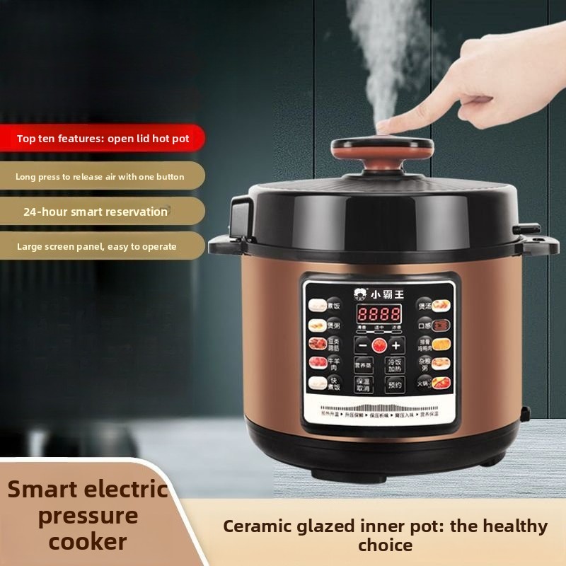 Programmable Electric Pressure - Instant Pot Pressure Cooker ulasan dan harga
