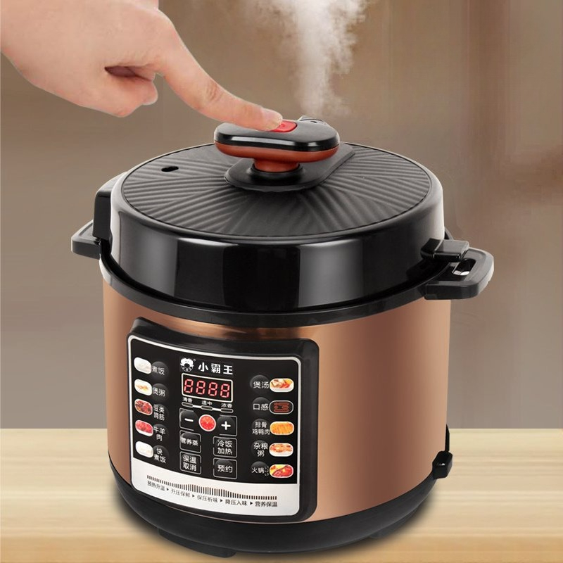 Programmable Electric Pressure - Instant Pot Pressure Cooker ulasan dan harga
