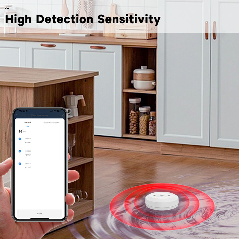 Tuya ZigBee Smart Water Leak S - Kitchen Appliances Video ulasan dan harga