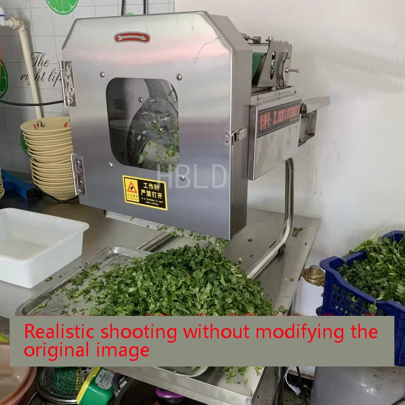 Small Electric Vegetable Cutte - Kitchen Appliances Green ulasan dan harga