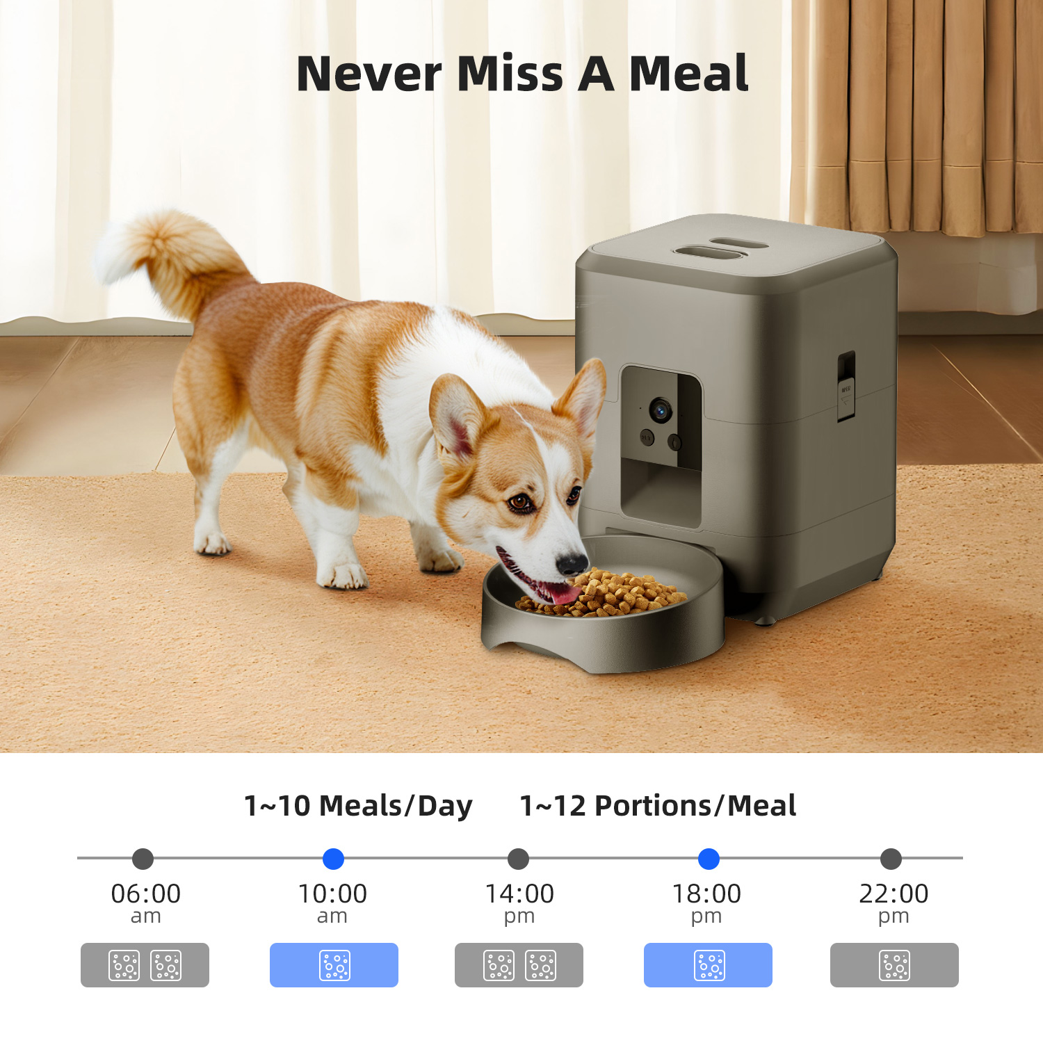 2L Automatic Pet Feeder Cat Sm - Kitchen Appliances Video ulasan dan harga