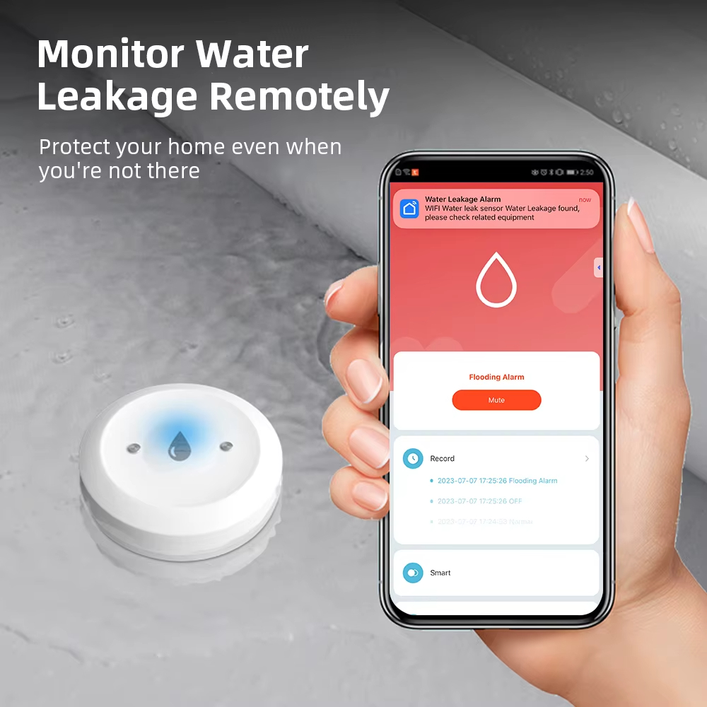 ZigBee Smart Water Leak Sensor - Kitchen Appliances Video ulasan dan harga